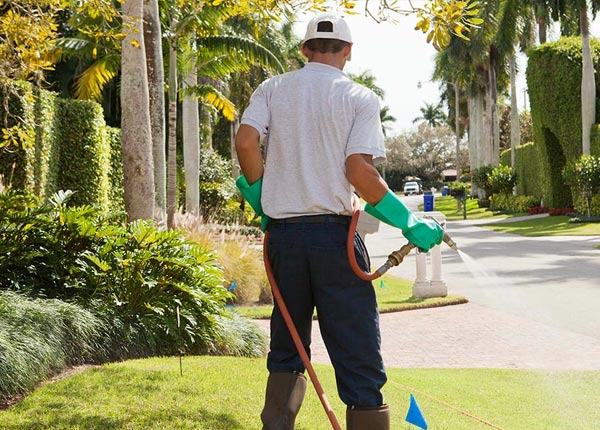About Branford FL Pest Control Pros